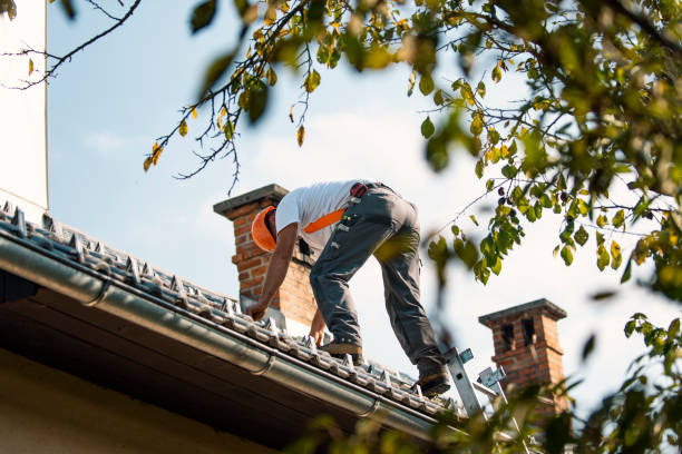 Best New Roof Installation  in Lake Bluff, IL